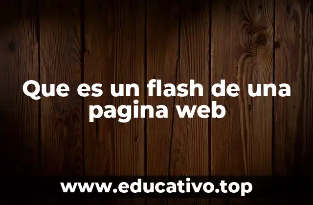 Que es un flash de una pagina web