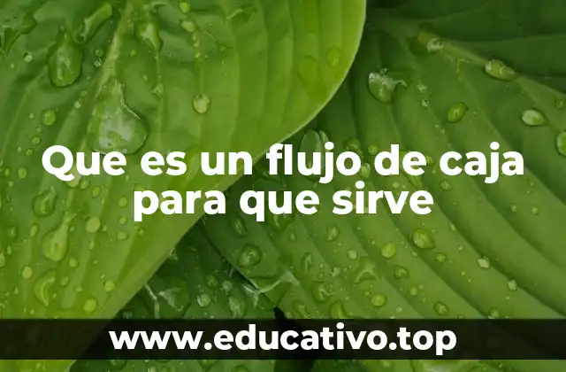 Que es un flujo de caja para que sirve