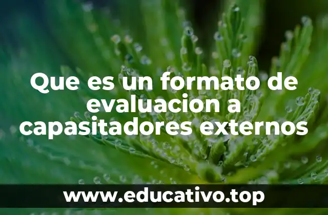 Que es un formato de evaluacion a capasitadores externos
