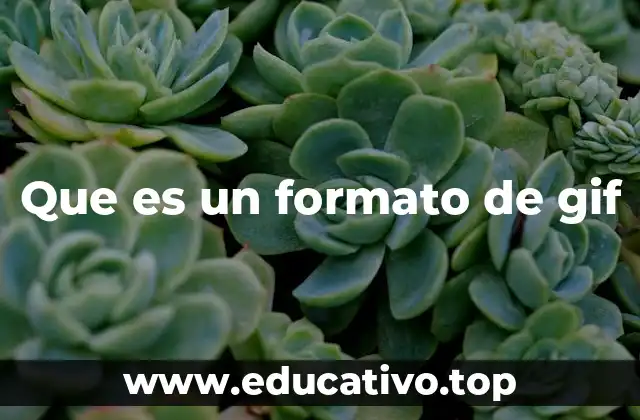 Que es un formato de gif