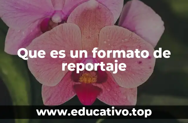 Que es un formato de reportaje