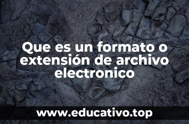 Que es un formato o extensión de archivo electronico