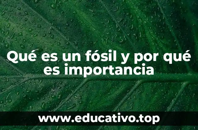 El papel de los fósiles en la ciencia