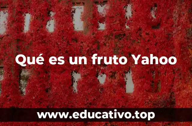 Qué es un fruto Yahoo
