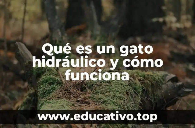 Qué es un gato hidráulico y cómo funciona