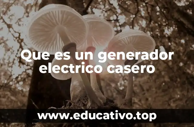 Que es un generador electrico casero