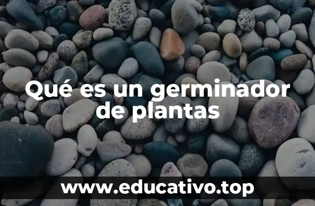 Qué es un germinador de plantas