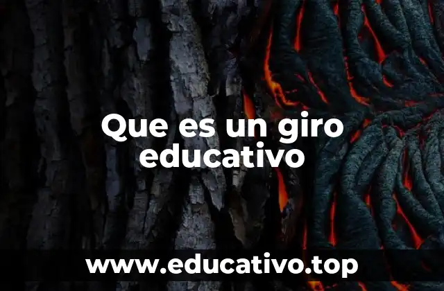 Que es un giro educativo