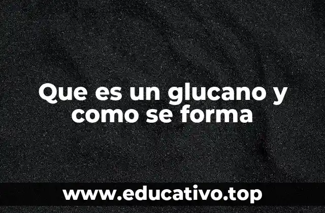 Funciones biológicas de los glucanos en la naturaleza