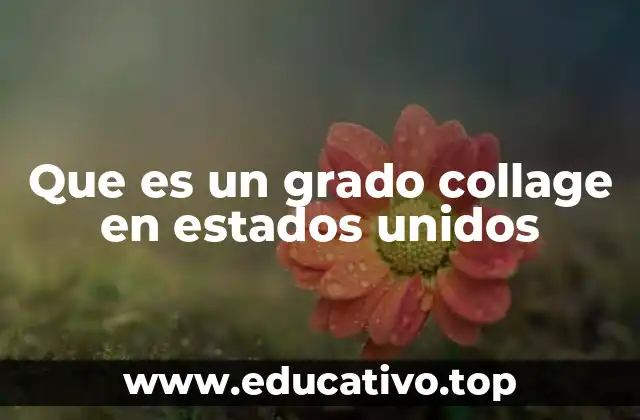El sistema de educación superior en Estados Unidos