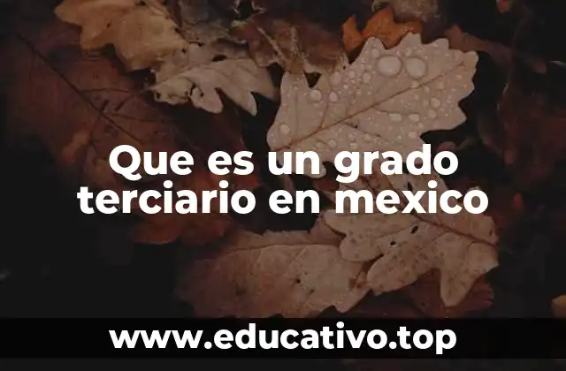 Que es un grado terciario en mexico