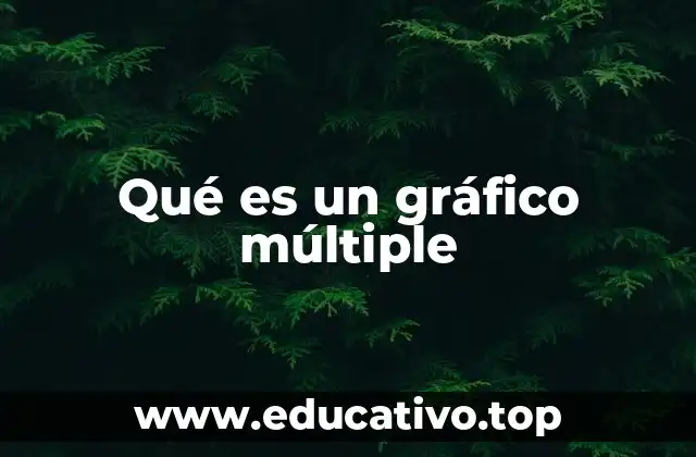 Qué es un gráfico múltiple
