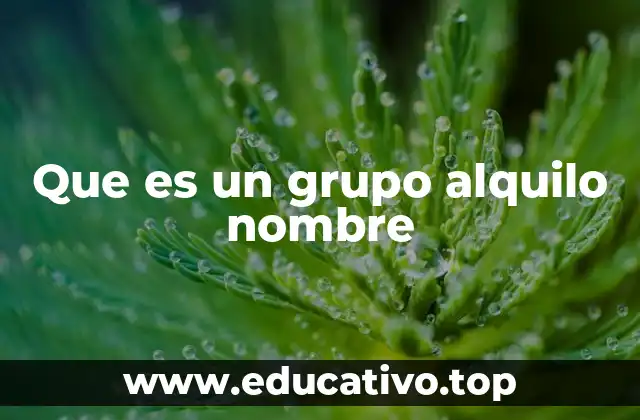 Que es un grupo alquilo nombre