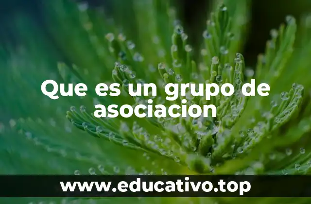 Que es un grupo de asociacion