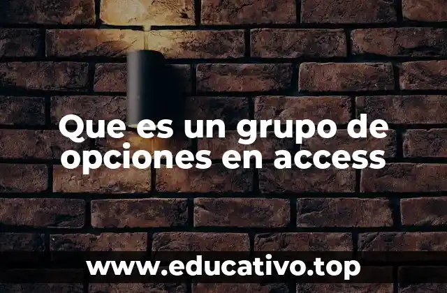 Uso del grupo de opciones para mejorar la entrada de datos