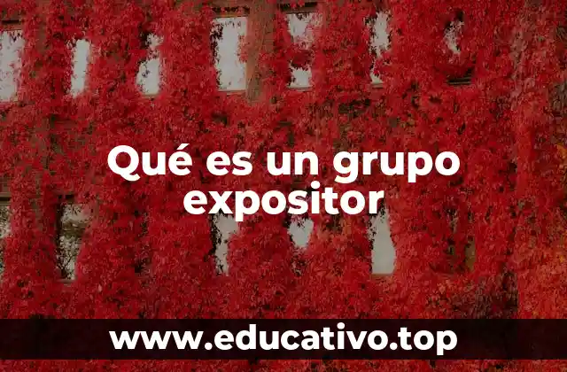Qué es un grupo expositor