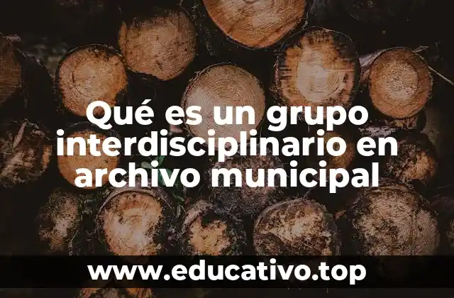Qué es un grupo interdisciplinario en archivo municipal