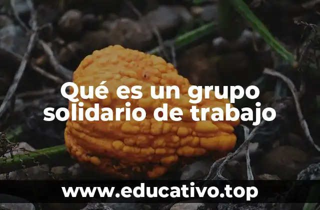 Qué es un grupo solidario de trabajo