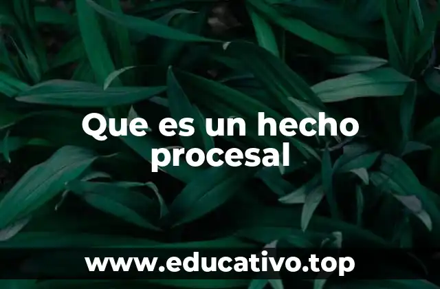 La importancia de los hechos procesales en el derecho