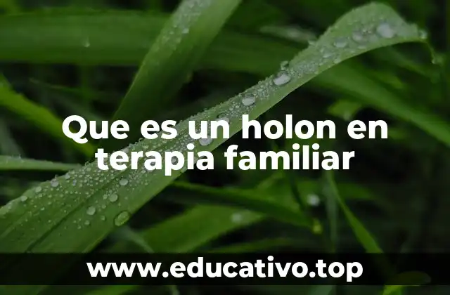Que es un holon en terapia familiar