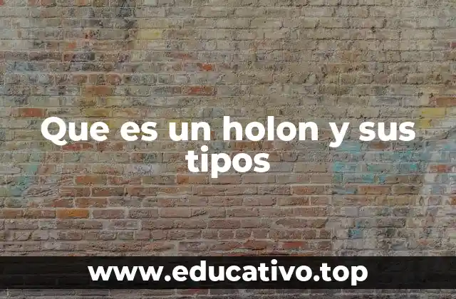 Que es un holon y sus tipos