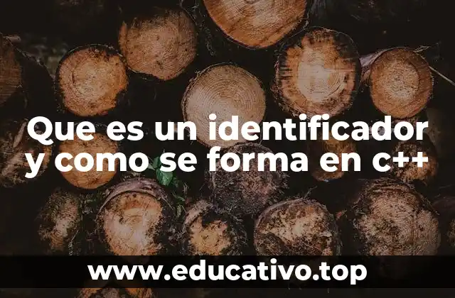 Que es un identificador y como se forma en c++