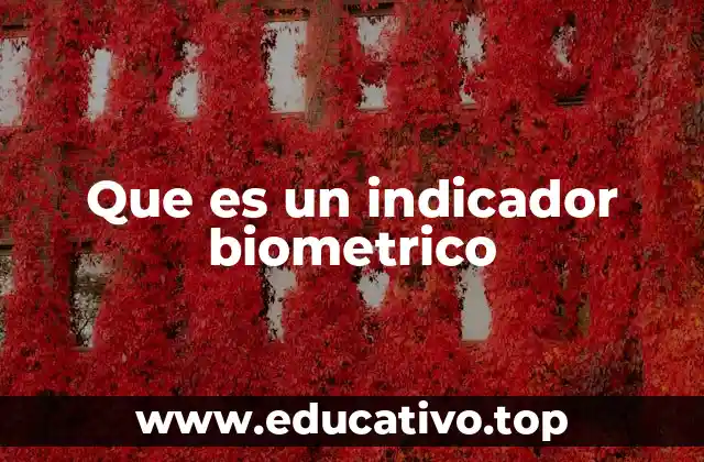 Que es un indicador biometrico