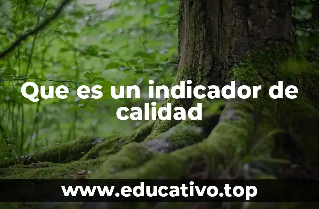 Que es un indicador de calidad