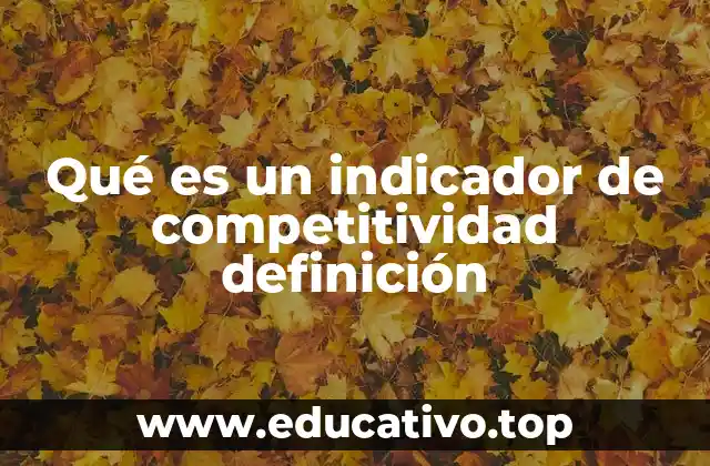 Qué es un indicador de competitividad definición
