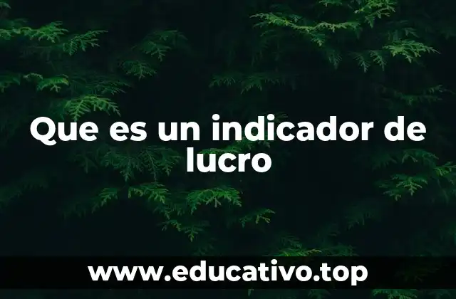 Que es un indicador de lucro