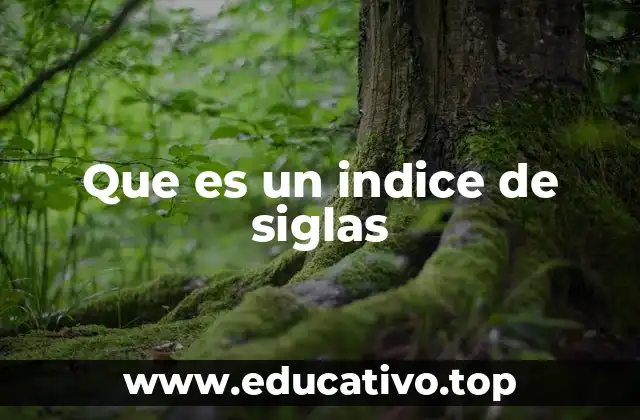 La importancia de los índices de siglas en textos complejos