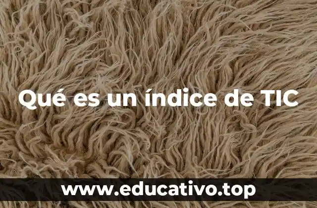 Qué es un índice de TIC