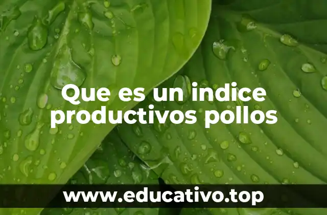 Que es un indice productivos pollos