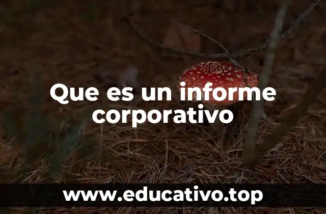 Que es un informe corporativo