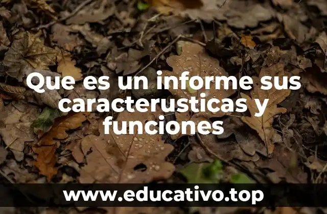 Que es un informe sus caracterusticas y funciones