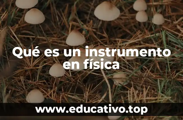 Qué es un instrumento en física