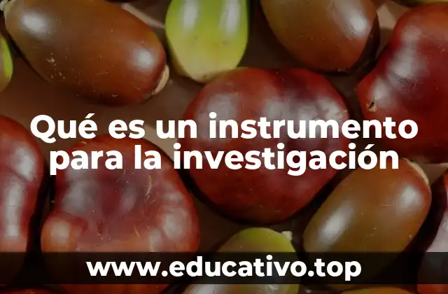 Qué es un instrumento para la investigación
