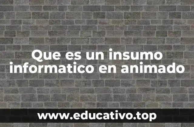 Que es un insumo informatico en animado