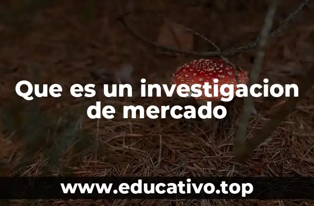 Que es un investigacion de mercado