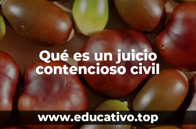 Qué es un juicio contencioso civil