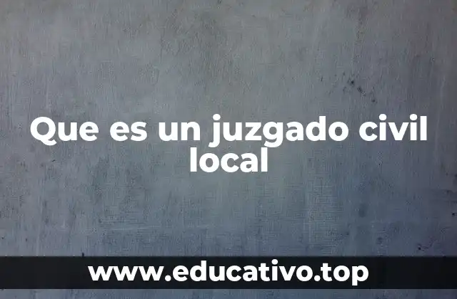 Que es un juzgado civil local