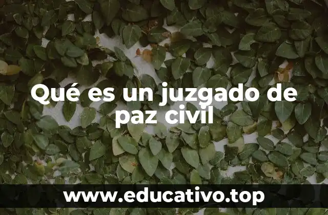 Qué es un juzgado de paz civil