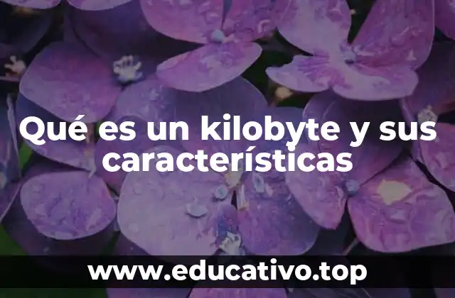 Qué es un kilobyte y sus características