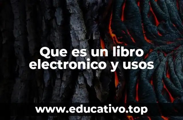 Que es un libro electronico y usos