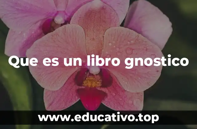 Que es un libro gnostico