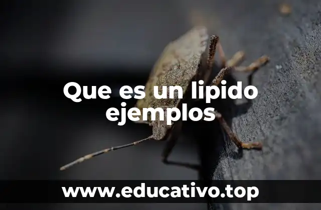 Los componentes estructurales de los lípidos