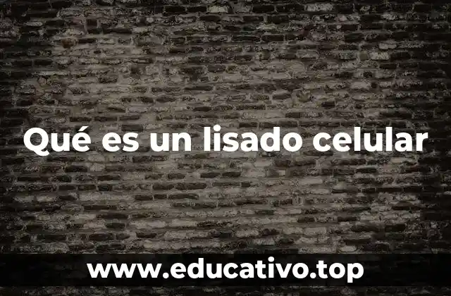 La importancia de la ruptura celular en la investigación