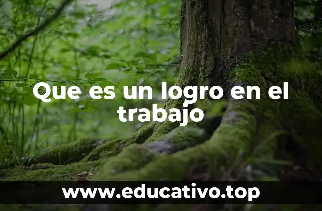 Que es un logro en el trabajo