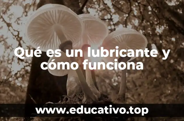 La importancia de los lubricantes en la vida cotidiana