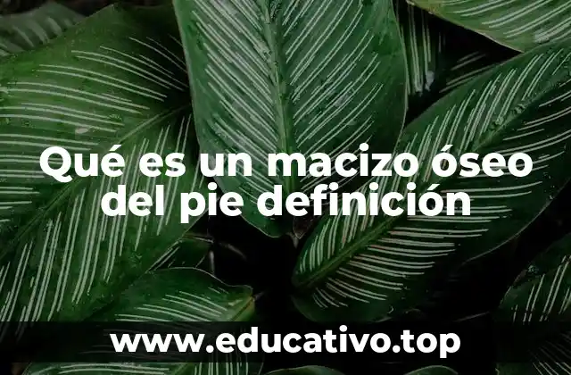 Qué es un macizo óseo del pie definición